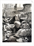 Noah's ark illustration showing children playing in the living room by Arthur Boyd Houghton