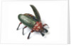 Clockwork beetle by Ernst Paul Lehman