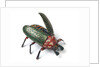 Clockwork beetle by Ernst Paul Lehman