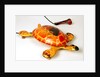 Toy tortoise by D.Sebel & Co Ltd