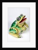 Mechanical frog by Unknown