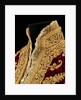 Woman's Jacket. Bosnia, late 19th century by Unknown