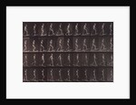Man ascending and descending incline by Eadweard Muybridge
