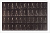 Man ascending and descending incline by Eadweard Muybridge