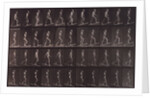Man ascending and descending incline by Eadweard Muybridge