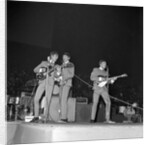 The Beatles by Harry Hammond