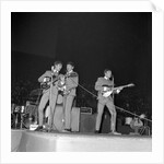 The Beatles by Harry Hammond