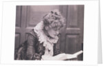 Ellen Terry by Frederick Hollyer