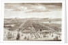 The City of Batavia in the Island of Java and Capital of all the Dutch factories & settlements in the East Indies by Unknown