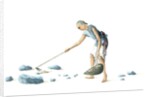 Man collecting dung by Unknown