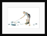Man collecting dung by Unknown