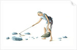 Man collecting dung by Unknown