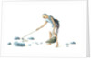 Man collecting dung by Unknown