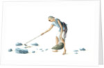 Man collecting dung by Unknown