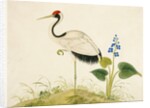 Red-crowned crane by Unknown