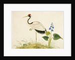 Red-crowned crane by Unknown