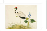 Red-crowned crane by Unknown