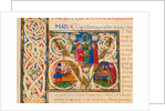 Initial V, from Pliny's Natural History. Italy, mid-15th century by Pliny the Elder