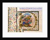 Initial P, from Pliny's Natural History. Italy, mid-15th century by Pliny the Elder