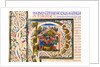 Initial P, from Pliny's Natural History. Italy, mid-15th century by Pliny the Elder