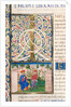 Initial I from Pliny`s Natural History by Pliny the Elder