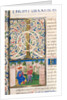 Initial I from Pliny`s Natural History by Pliny the Elder
