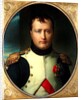 Napoleon Bonaparte by Francois-Pascal-Simon Gerard