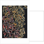 Woman's Dress. Kohistan, Pakistan, 20th century by Unknown