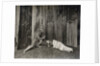 Dennis Neilson-Terry and Christine Silver in William Shakespeare's A Midsummer Night's Dream at The Savoy by unknown