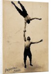 The Pasquali Brothers by unknown