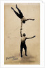 The Pasquali Brothers by unknown