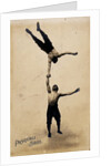 The Pasquali Brothers by unknown