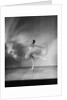 Margot Fonteyn in The Sleeping Princess by Gordon Anthony