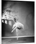 Margot Fonteyn in The Sleeping Princess by Gordon Anthony