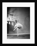 Margot Fonteyn in The Sleeping Princess by Gordon Anthony