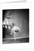 Margot Fonteyn in The Sleeping Princess by Gordon Anthony