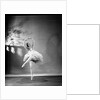 Margot Fonteyn in The Sleeping Princess by Gordon Anthony