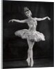 Margot Fonteyn in Swan Lake by Gordon Anthony