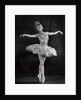 Margot Fonteyn in Swan Lake by Gordon Anthony