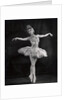 Margot Fonteyn in Swan Lake by Gordon Anthony