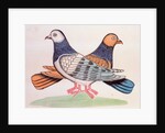 A pair of pigeons illustrating the proverb As Alike as Two Pigeons. Calcutta, India, early 19th century by Unknown