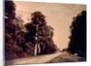 The Road to Chailly, Forest of Fontainebleau by Gustave Le Gray