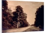The Road to Chailly, Forest of Fontainebleau by Gustave Le Gray