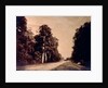The Road to Chailly, Forest of Fontainebleau by Gustave Le Gray