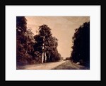 The Road to Chailly, Forest of Fontainebleau by Gustave Le Gray