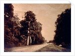 The Road to Chailly, Forest of Fontainebleau by Gustave Le Gray