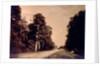 The Road to Chailly, Forest of Fontainebleau by Gustave Le Gray