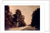 The Road to Chailly, Forest of Fontainebleau by Gustave Le Gray