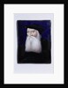 Old Man. Limoges, France, date unknown by Leonard Limosin