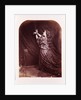 Kate Terry by Lewis Carroll